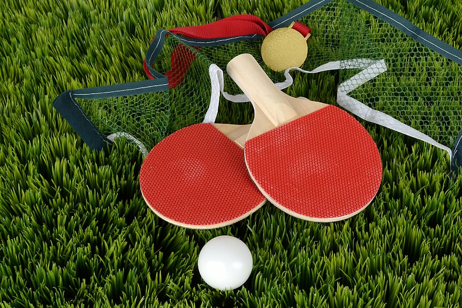 two red-and-brown ping pong rackets, ping-pong, bat, table tennis bat