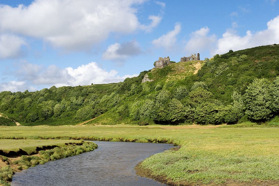 trees on hill near castle at daytime, wales, beach, river, swansea HD wallpaper