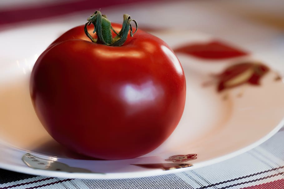 tomato, fruit, red, harvest, garden, power, red fruit, flavor HD wallpaper