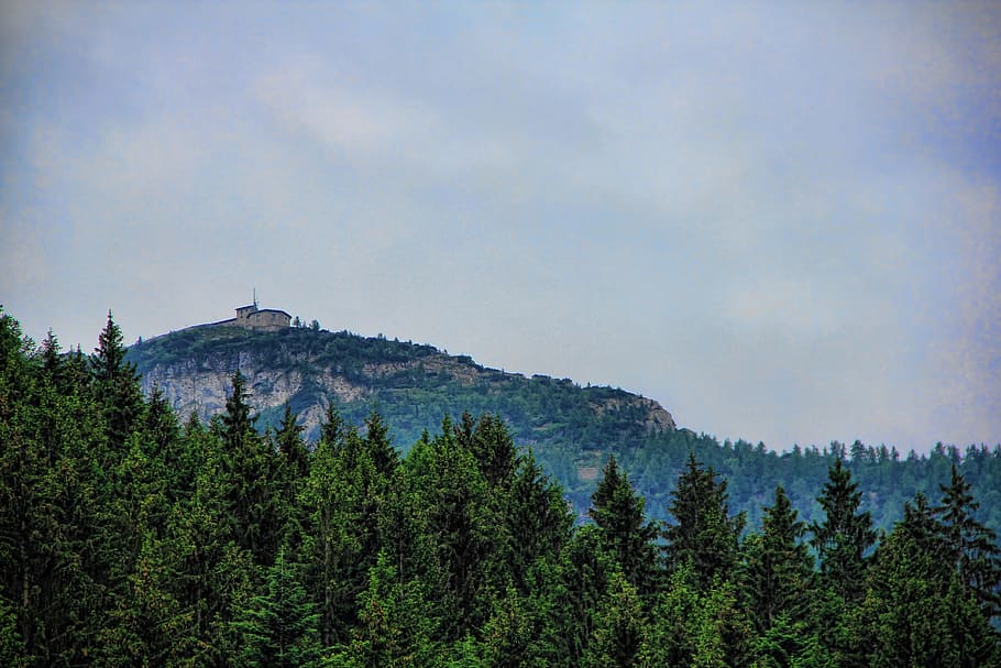 Forest, Clouds, Nature, mountain, sky, landscape, blue, fog HD wallpaper
