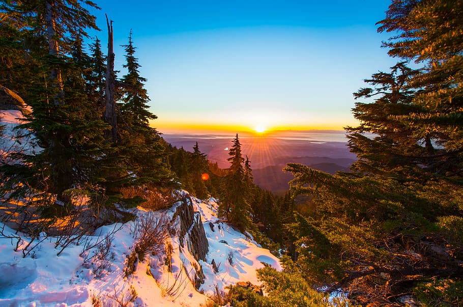 green trees on snow field at golden hour, high-angle photography of pine trees during daytime HD wallpaper