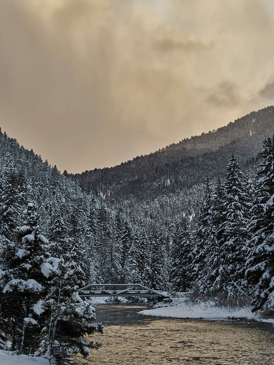 bridge beside trees near mountain with cloudy sky, gray walkbridge between two snow-capped mountains HD wallpaper