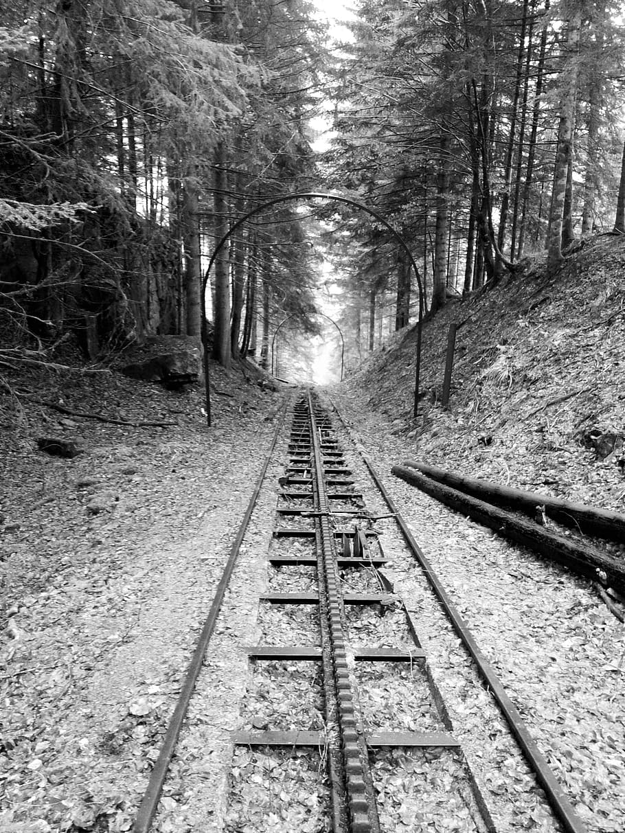 funicular, massif central, abandoned, tree, railroad track HD wallpaper