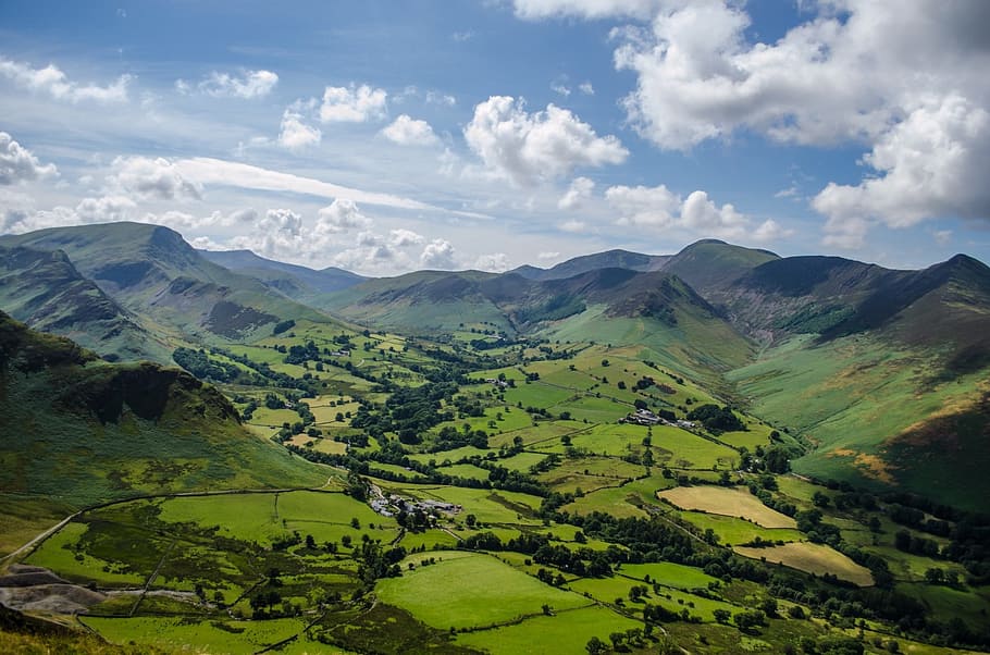 Landscape, Spring, England, summer, green, nice, tree, nature HD wallpaper