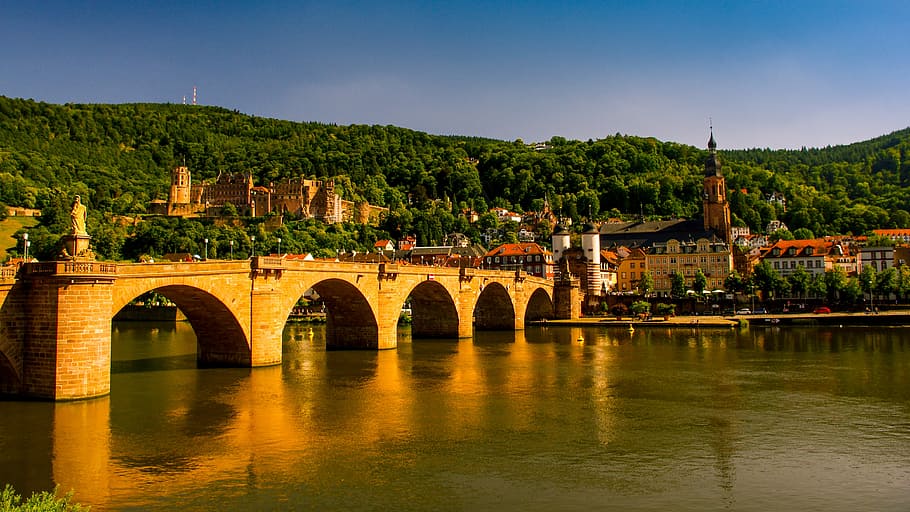 brown concrete arch bridge near cathedral across hill covered with trees at daytime HD wallpaper