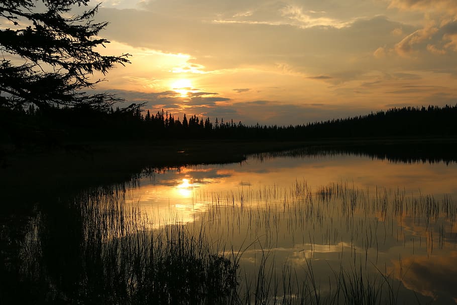 norway, tarn, sunset, forest, lake, water, tree, cloud, sky HD wallpaper