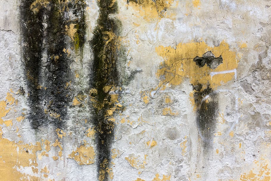 white, black, and yellow concrete wall, texture, moss, backgrounds