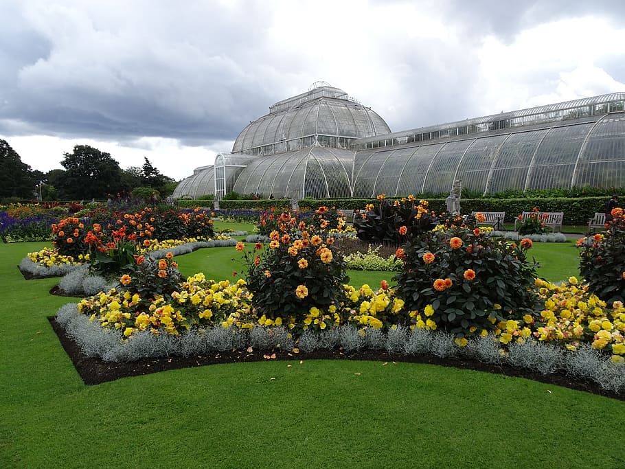 london, kew gardens, greenhouse, flowers, plant, cloud - sky, HD wallpaper