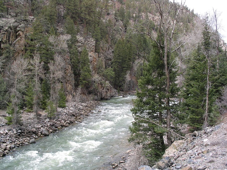 river, riverbed, landscape, rocks, water, nature, trees, plant HD wallpaper