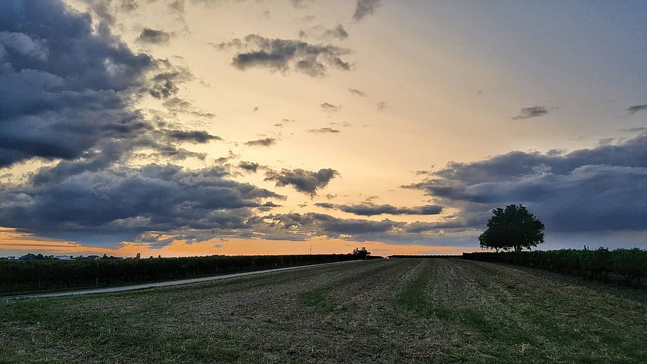 sunset, field, nature, sky, cloud - sky, environment, road HD wallpaper