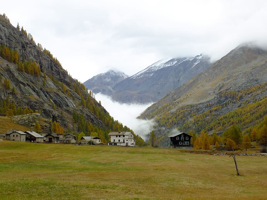 italy, aosta valley, gran paradiso, national park, autumn, fog, HD wallpaper