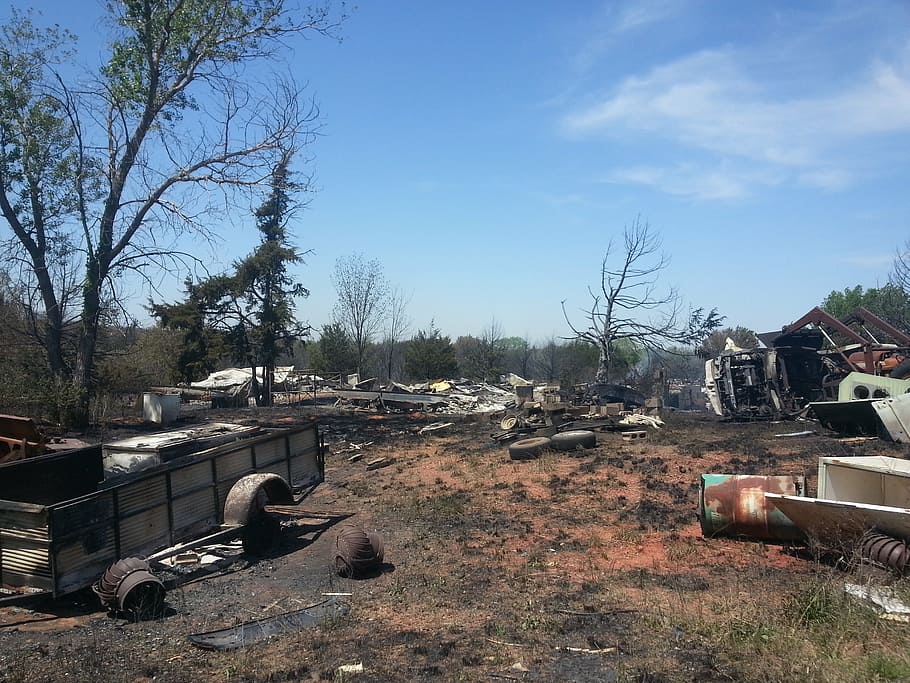 after the fire, fire damage, firefighting, logan, ashes, tree HD wallpaper