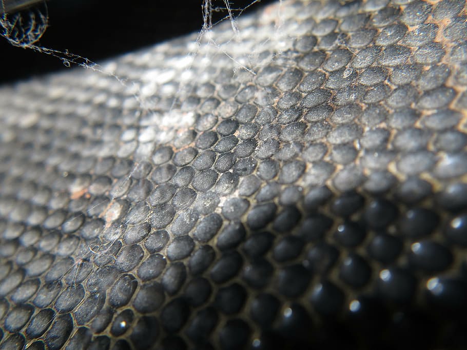 sheet, texture, pattern, dirty, patina, close-up, no people HD wallpaper