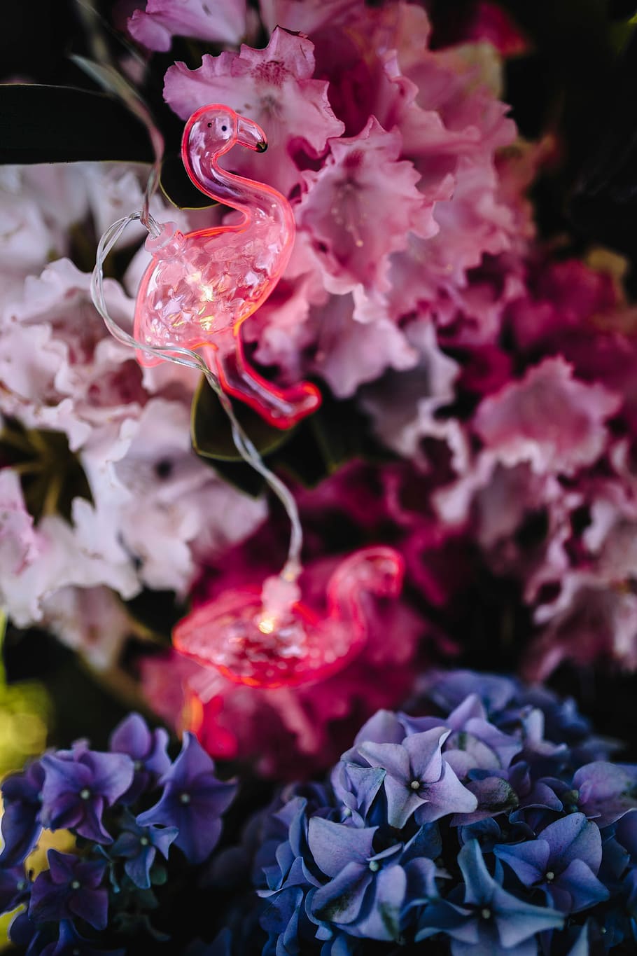 Flamingo light garland & pink flowers, summer, lamp, fun HD wallpaper