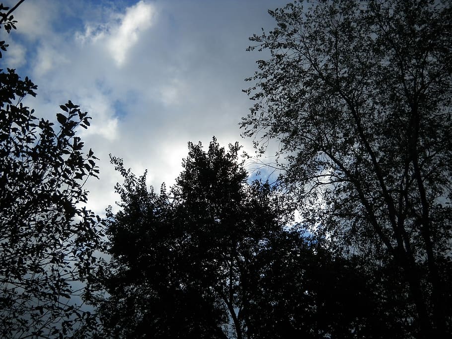 Storm, Clouds, Nature, Dark, Rain, weather, dramatic, stormy HD wallpaper