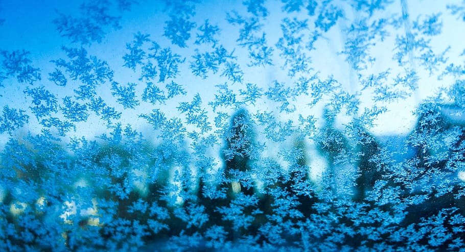 canada, ice, winter, snow, cold temperature, plant, snowflake HD wallpaper