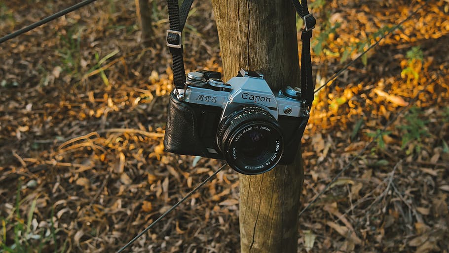 camera, canon, slr, camera - Photographic Equipment, photography Themes HD wallpaper