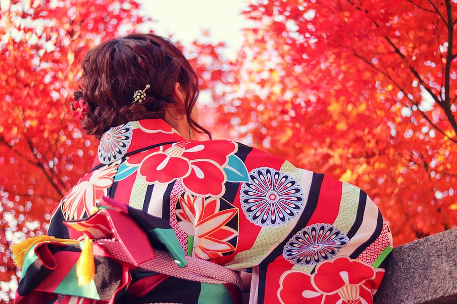 woman in multi-color kimono during day time, women, autumn, japan HD wallpaper