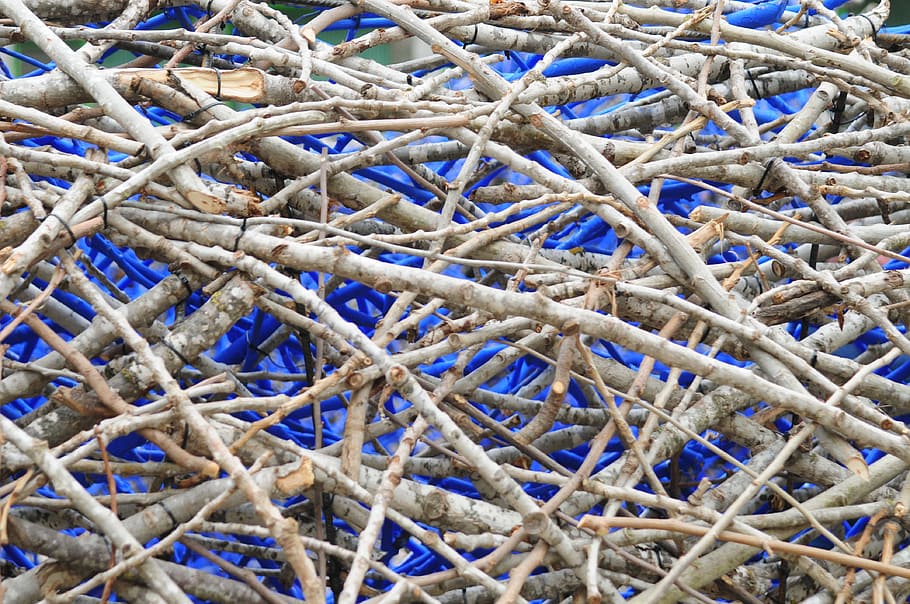 blue, wood, texture, background, backgrounds, full frame, day HD wallpaper