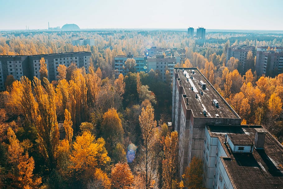 Undisturbed in Chernobyl, aerial photo of brown and white building near trees