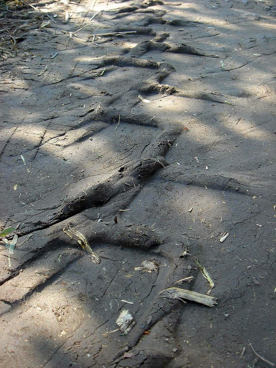 Tire, Tracks, Path, Field, Print, Tractor, tire tracks, clay HD wallpaper