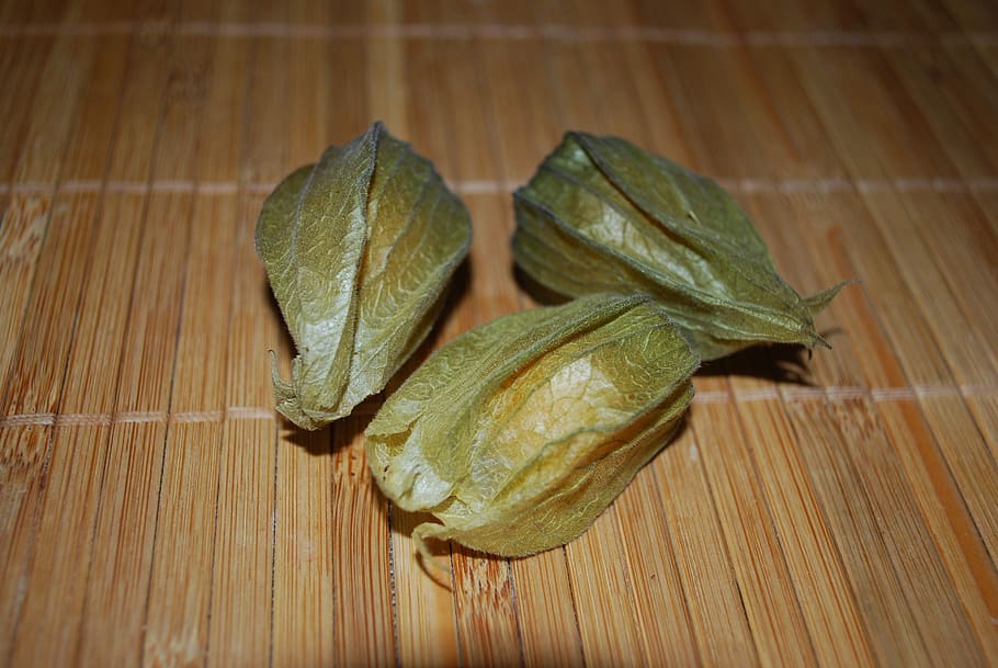 three, closed, physalis, fruit, orange, green, healthy, lifestyle HD wallpaper