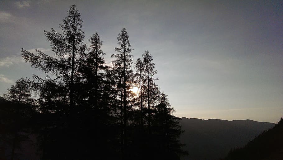 nature, light, landscape, sunlight, forest, twilight, outside HD wallpaper