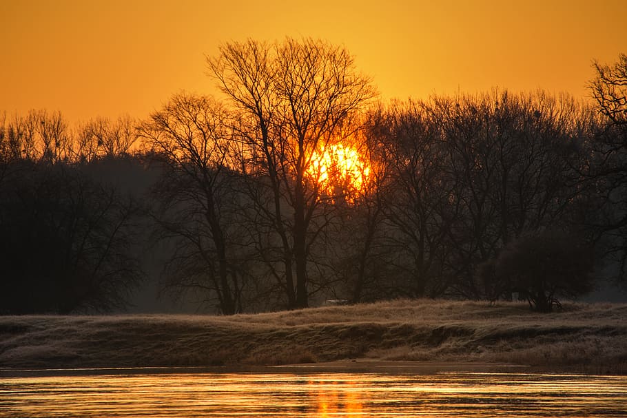sunrise, river, trees, close, mood, landscape, morning light HD wallpaper