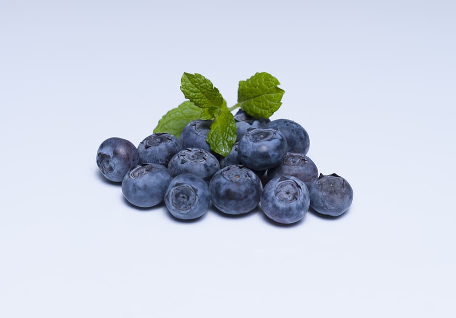 blueberries, blueberry, fruit, food, superfood, freshness, berry Fruit, HD wallpaper