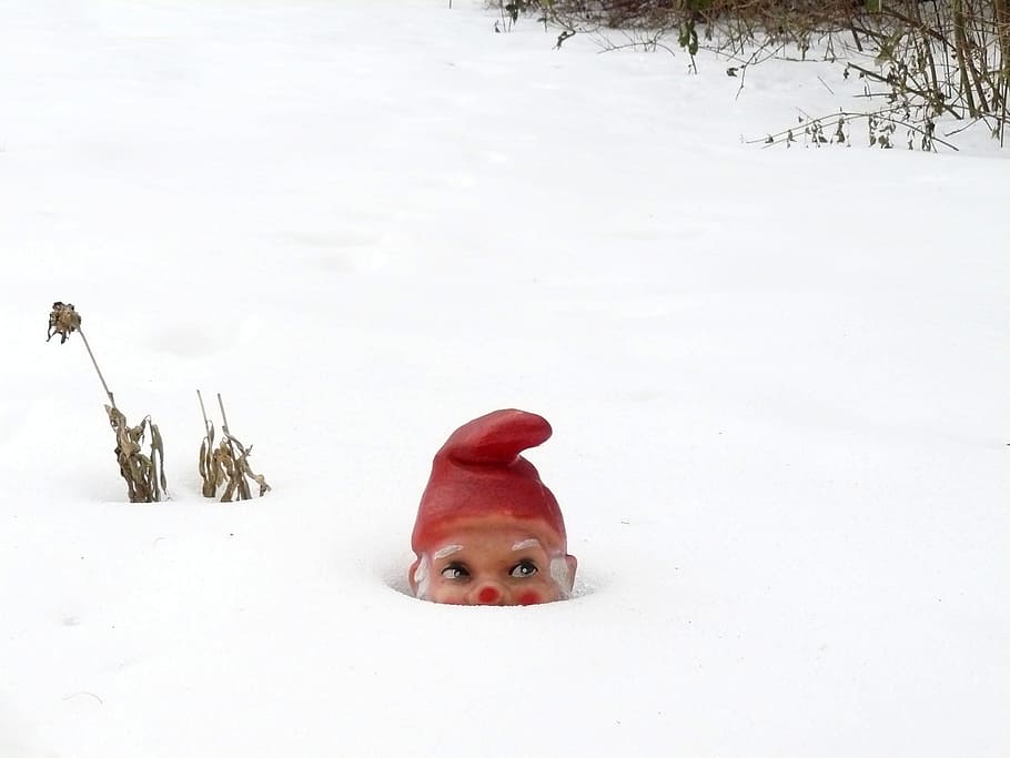 garden gnome, winter, snow, dwarf, white, cold, hidden, wintry, HD wallpaper