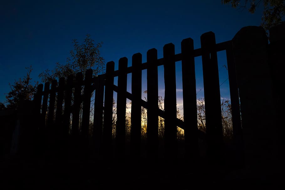 cancels, against light, eventide, sky, gate, grid, tree, plant HD wallpaper