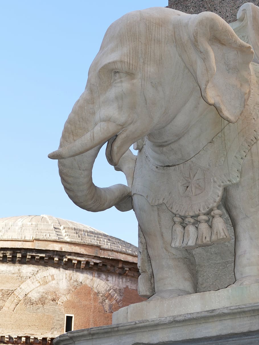 elephant, bernini, rome, stone figure, ruesseltier, sculpture, HD wallpaper
