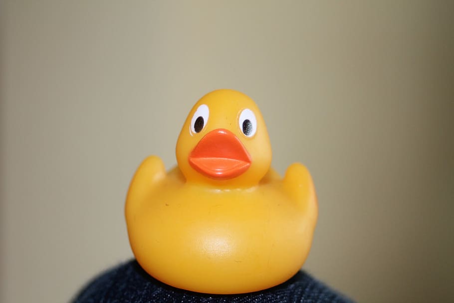 Duck, Bath, Rubber, Cute, bathroom, rubber duck, small, toy HD wallpaper