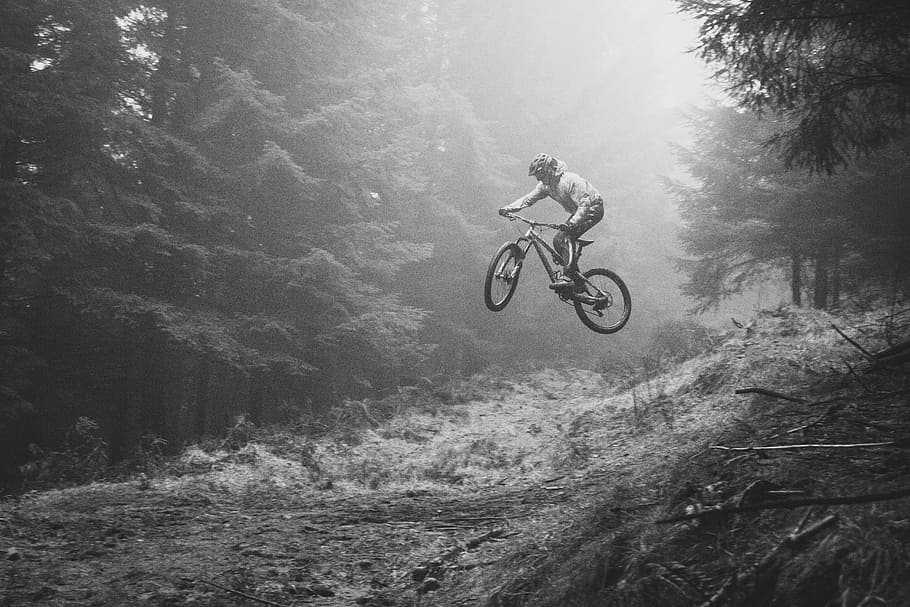 grayscale photography of person riding bicycle in forest, bike, jump, bmx, tree, woodland, HD wallpaper