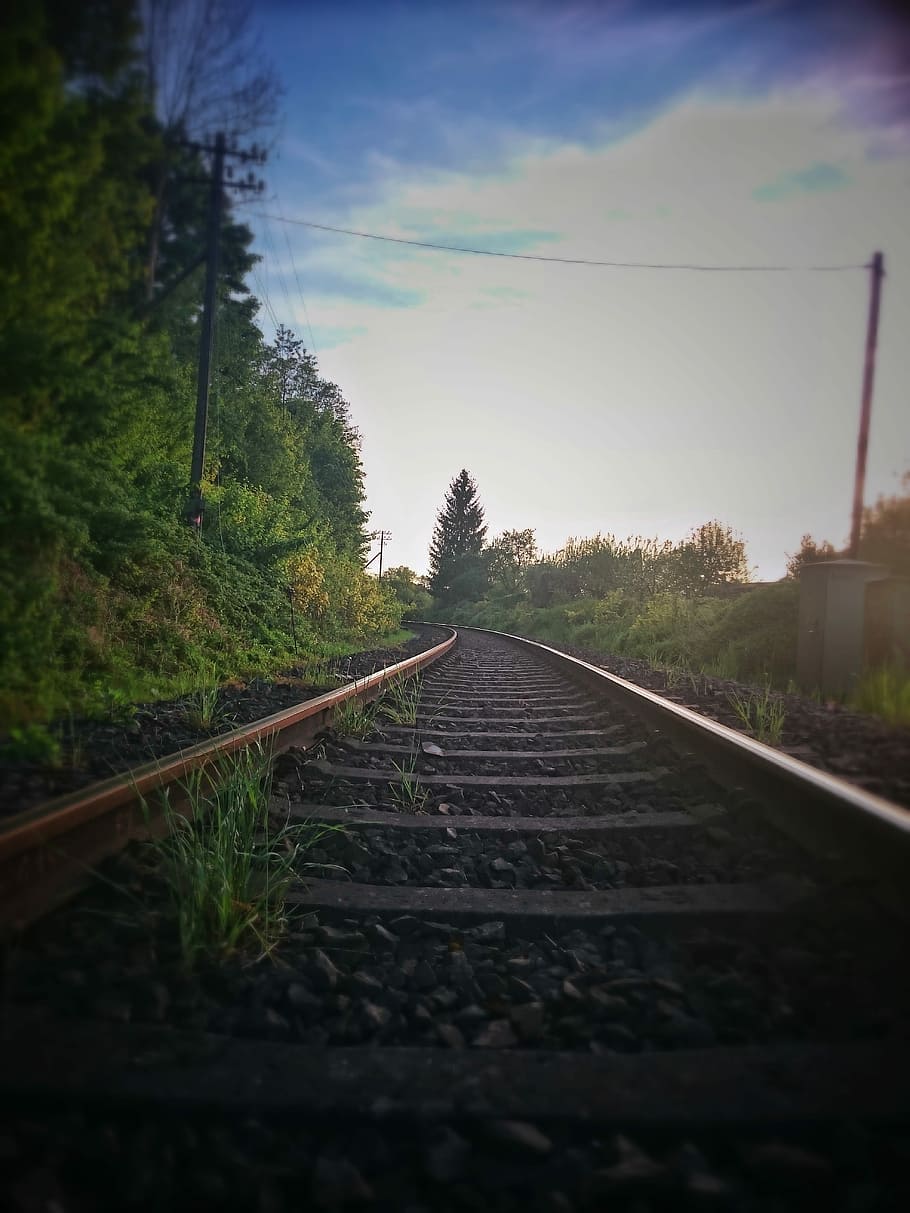 Gleise, Train, Nature, summer, seemed, transport, sun, light HD wallpaper