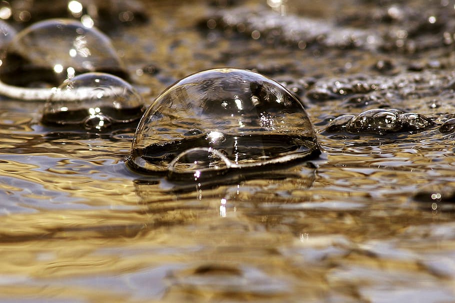 closeup photo of bubbles, water, macro, drop, circle, liquid HD wallpaper