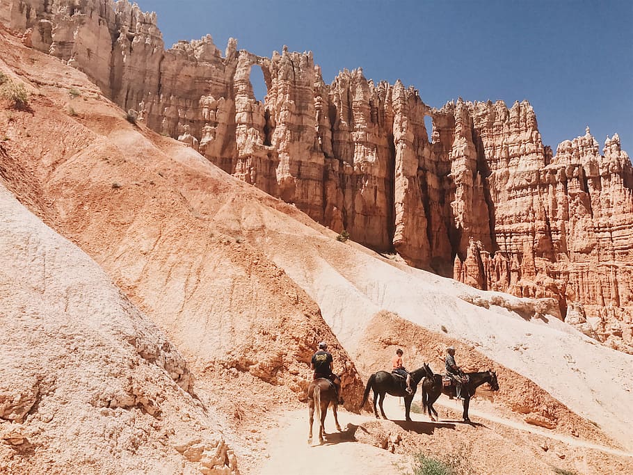 people riding on black and brown donkeys, three men riding horse near outcrop