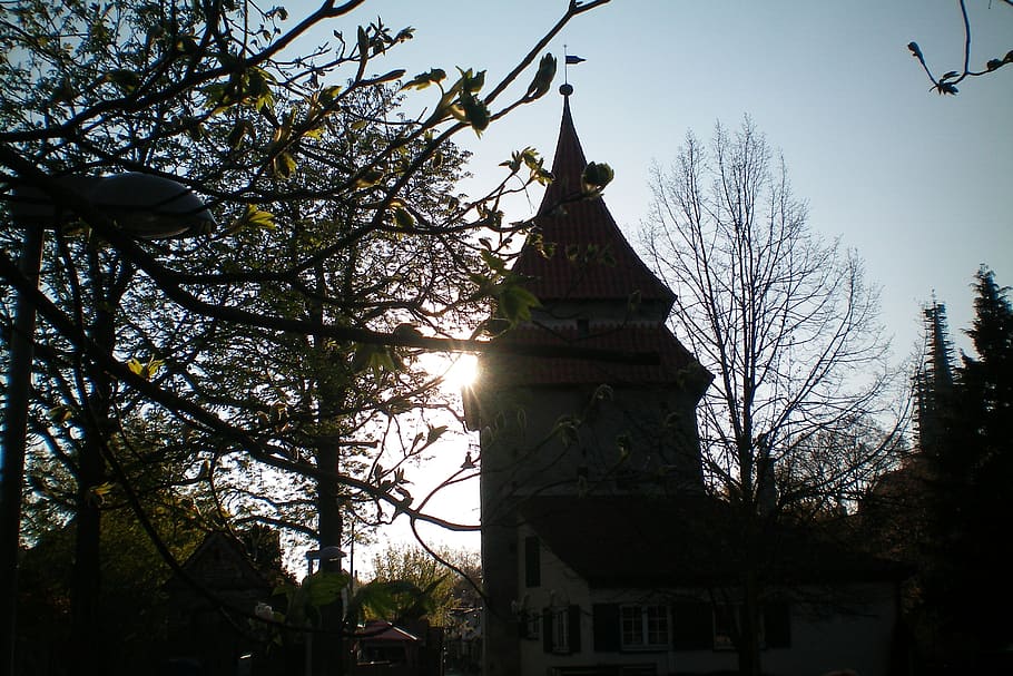 ulm, setting sun, twilight, tower, tree, plant, built structure HD wallpaper