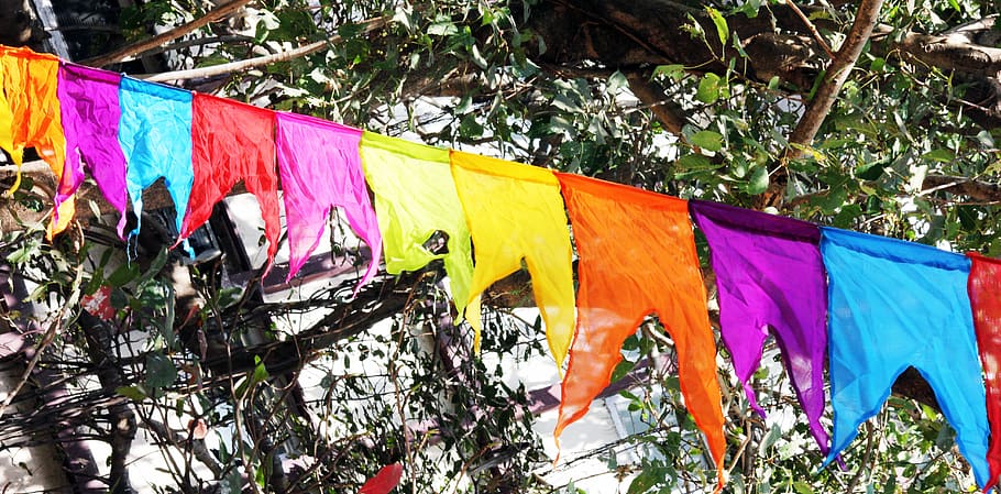 flags, colors, celebration, india, multi colored, tree, plant HD wallpaper