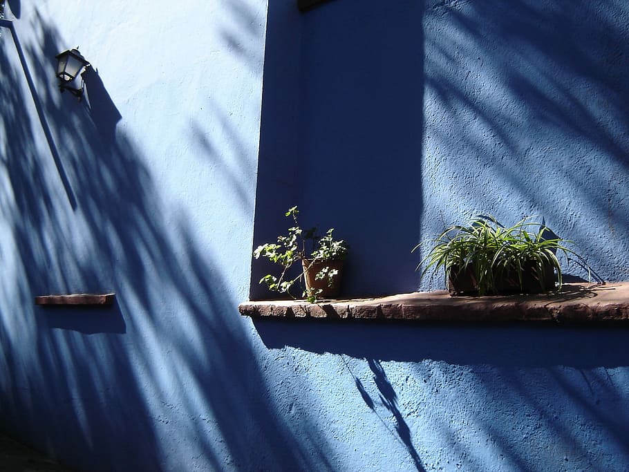 Blue, House, House, Building, Architecture, window, built structure HD wallpaper