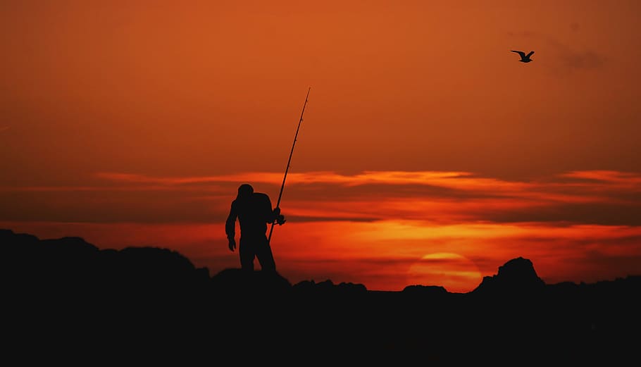 HD wallpaper: silhouette of fishing rod facing sunset, gray and black  fishing rod under blue and white cloudy sky during golden hour