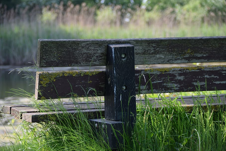 bank, musing, rest, nature, wood - Material, grass, outdoors HD wallpaper