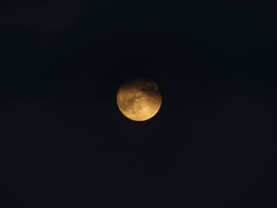 full moon, Super Moon, Night, moonlight, mystical, gloomy, scary HD wallpaper