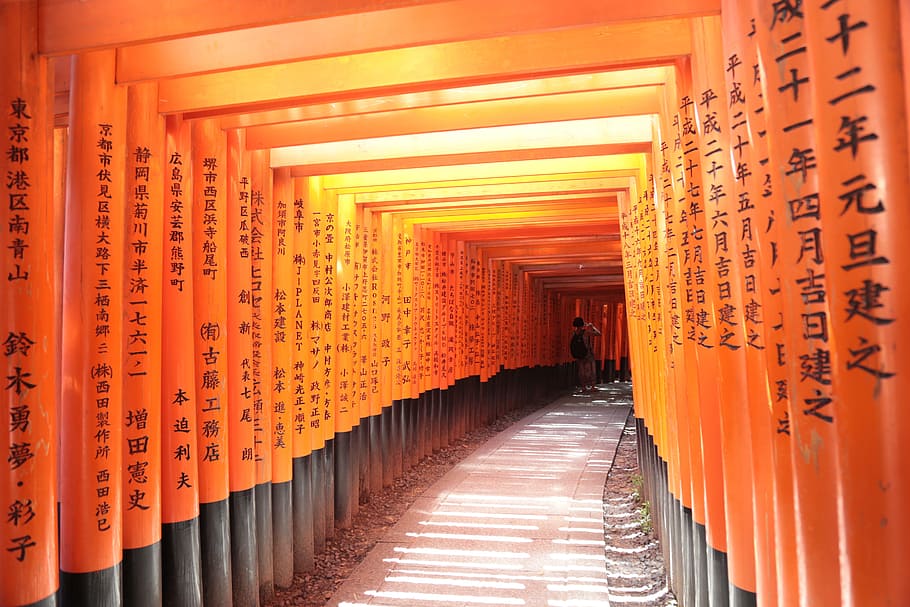 Hd Wallpaper Japan Kyoto Shrine Shinto Fushimi Inari Shrine Torii Gate Wallpaper Flare