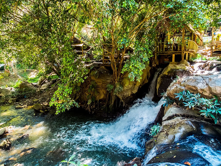 Landscape, Waterfall, Flow Motion, Bach, nature, stream, tree HD wallpaper