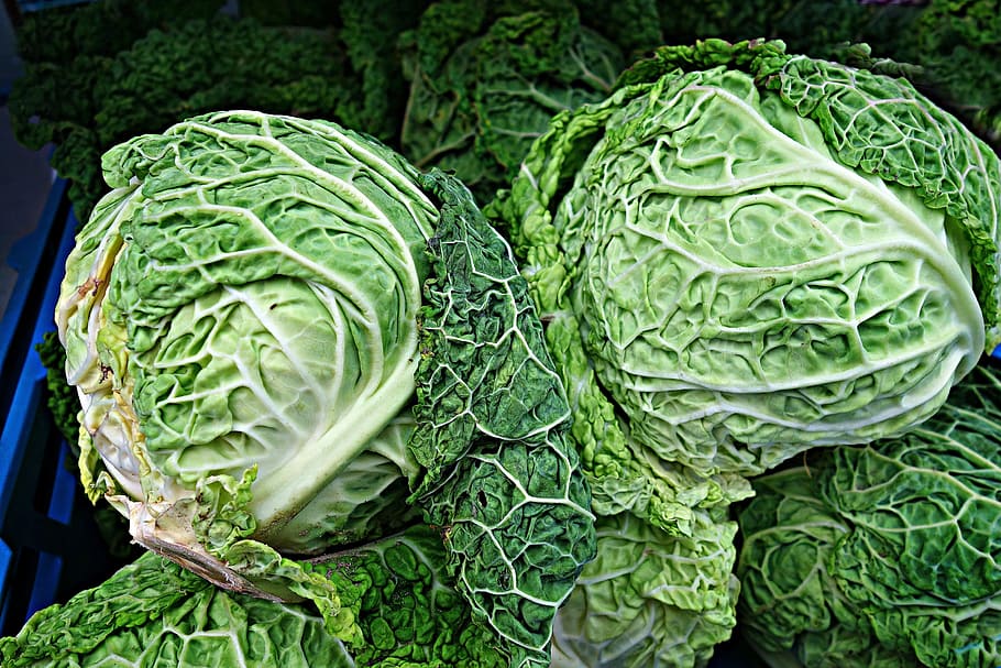 savoy cabbage, brassica oleracea, fresh cabbage, vegetable, HD wallpaper