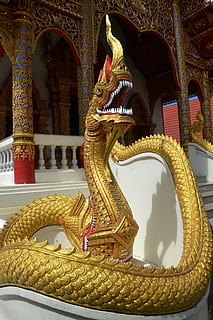 brown dragon statue, snake, temple, worm, animal, symbol, chinese HD wallpaper