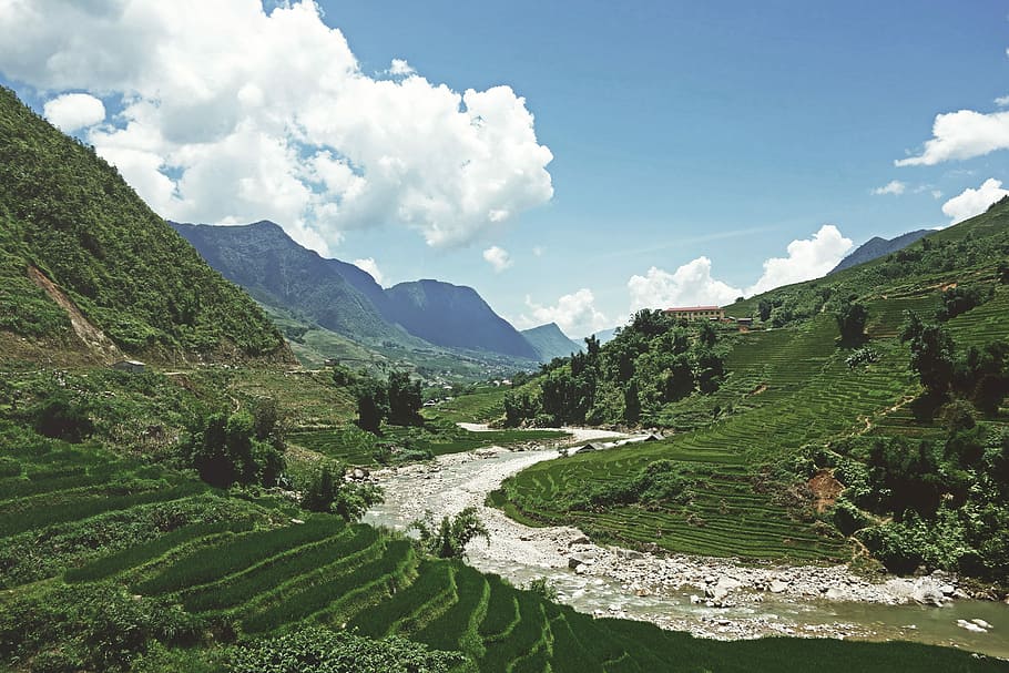 Sapa Valley Fever, forest, rice, view, nature, mountain, landscape HD wallpaper