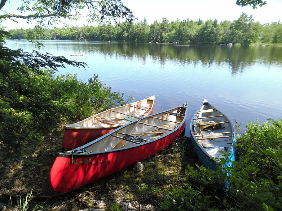 canoe, new scotland, vacancy, chalet, three, nature, lake, nautical Vessel, HD wallpaper