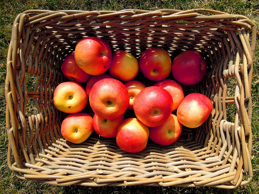 apple, fruit, basket, red, yellow, food and drink, healthy eating HD wallpaper